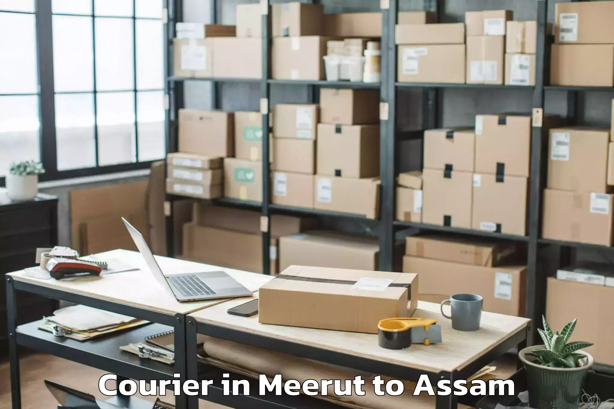 Easy Meerut to Moran Courier Booking